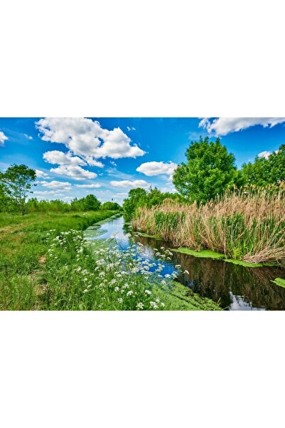 Zumzeria Tablou Canvas Blue And Clody Sky Over A Liittle Creek, 80x50cm, tabloucanvas754, Zumzeria ®