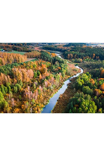 Zumzeria Καμβάς Tablou με ζωντανά χρώματα από όμορφο φθινόπωρο στην Πολωνία, ...