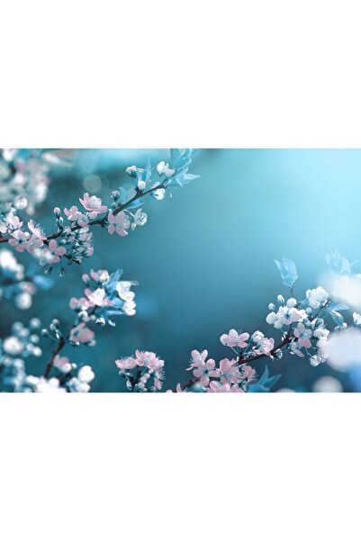 Zumzeria Tablou Canvas Spring Blooming Branches, 80x50cm, tabloucanvas228, Zu...