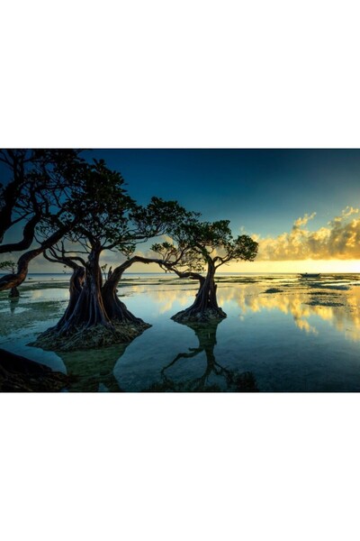 Zumzeria Tablou Canvas Summer Sunset Over Trees, 80x50cm, tabloucanvas910, Zu...