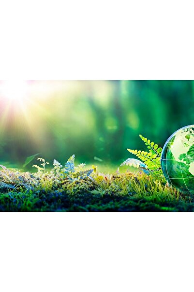 Zumzeria Tablou Canvas Globe Glass In Green Forest, 80x50cm, tabloucanvas589, ®