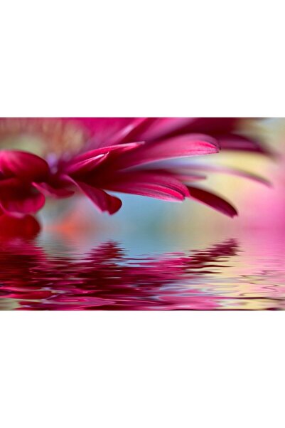 Zumzeria Πίνακας σε καμβά Φωτεινά κόκκινα πέταλα, 80x50εκ., canvaspainting895...