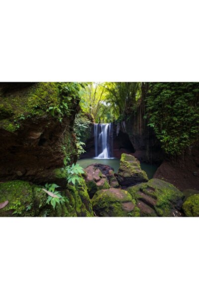 Zumzeria Πίνακας σε καμβά Ένας Όμορφος Καταρράκτης στο Τροπικό Δάσος, 80x50εκ...