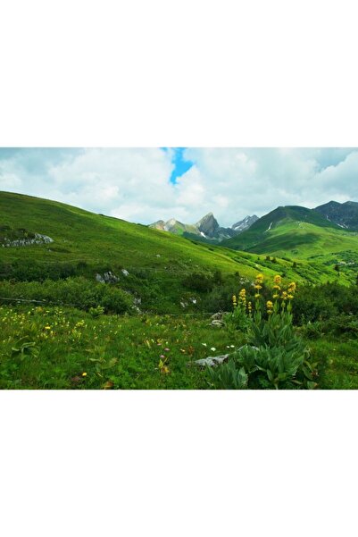 Zumzeria Tablou Canvas Picturesque View Of Austrian Alps, 80x50cm, tabloucanv...