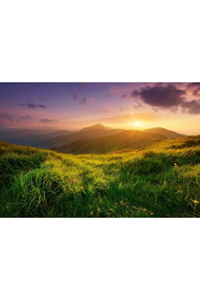 Zumzeria Πίνακας σε καμβά Grassy Hill Sunset, 80x50εκ., tabloucanvas66,