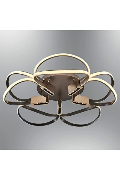 Özcan Aydınlatma Özcan Aydınlatma 5724-2 Platin 80'Lik Plafonyer Platin