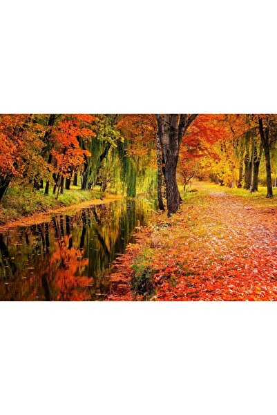 Zumzeria Tablou Canvas Bright Colors Of A Wonderful Fall, 80x50cm, tabloucanv...