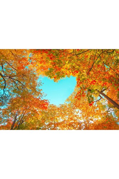 Zumzeria Tablou Canvas Red Orange Foliage Of The Park In Fall, 80x50cm, tabloucanvas478, Zumzeria ®