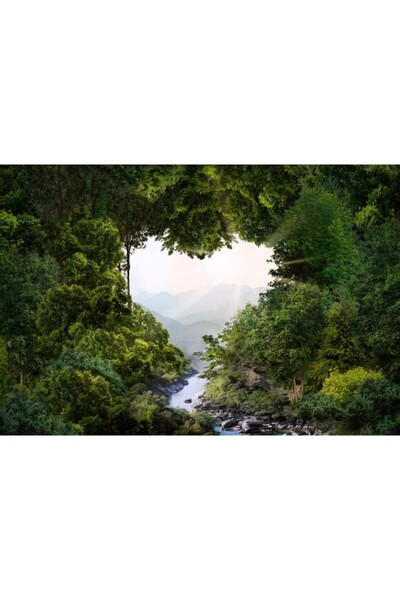 Zumzeria Tablou Canvas, gaură în formă de inimă în coroana copacului dens, 80...