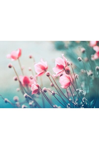 Zumzeria Πίνακας σε καμβά Όμορφες Ροζ Ανεμώνες, 80x50εκ., canvaspainting581, Zumzeria ®
