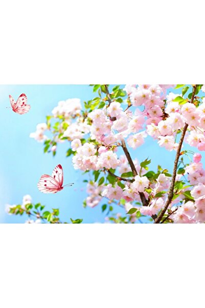Zumzeria Tablou Canvas Ramuri de cireș înflorite pe cer albastru, 80x50cm, ta...