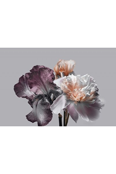 Zumzeria Tablou Canvas Bujor blând și irisi frumoase, 80x50cm, tabloucanvas853, Zumzeria ®