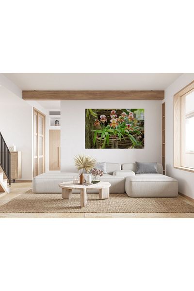 Zumzeria Tablou Canvas Paphiopedilum Orhidee într-un ghiveci, 80x50cm, tabloucanvas1125, Zumzeria ®