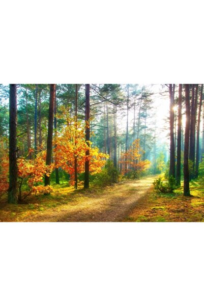 Zumzeria Tablou Canvas Autumn Forest Path, 80x50cm, tabloucanvas366, ®