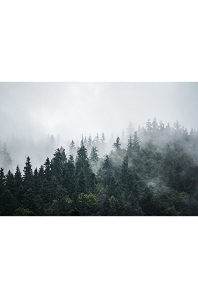 Zumzeria Καμβάς Tablou Misty Foggy Mountain με Δάσος από Έλατα, 80x50εκ., tab...