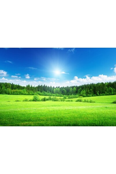 Zumzeria Tableau Canvas Bright Greeny Field, 80x50cm, tableaucanvas21, Zumzer...