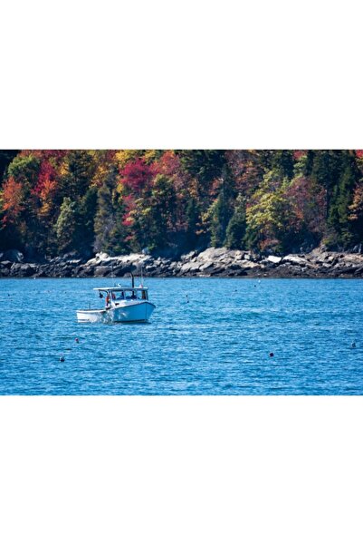 Zumzeria Tablou Καμβάς με Σκάφος στη Λίμνη με Φθινοπωρινό Φόντο, 80x50εκ., tabloucanvas1111, Zumzeria ®