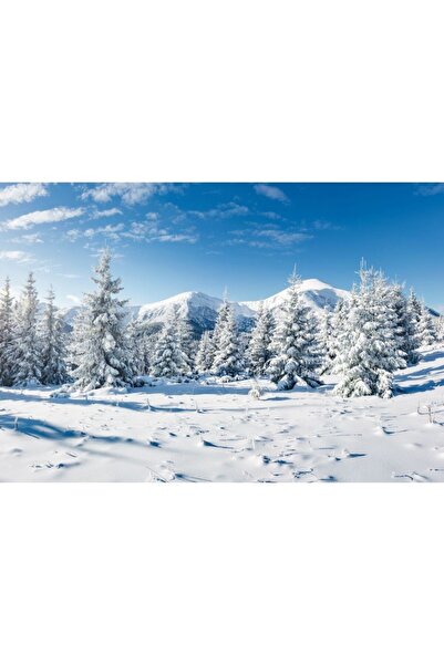 Zumzeria Πίνακας σε καμβά Παραμυθένιο Χιονισμένο Βουνό, 80x50εκ., πίνακας σε ...