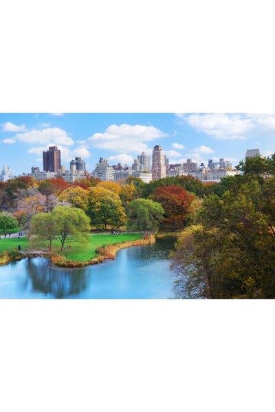 Zumzeria Καμβάς Tablou Όμορφα Φθινοπωρινά Χρώματα της Αστικής Τοπίας, 80x50εκ...