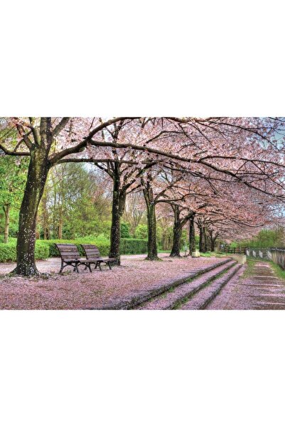 Zumzeria Καμβάς Tablou Όμορφο Σοκάκι με Ροζ Άνθη Κερασιάς, 80x50εκ., tablouca...