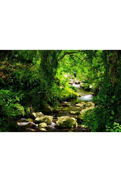 Zumzeria Πίνακας σε καμβά Flowing River Forest, 80x50εκ., tabloucanvas22,