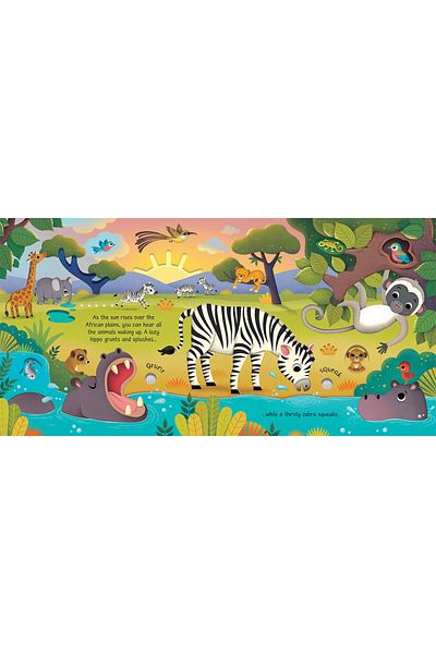 Usborne Foreign Language Children's Books