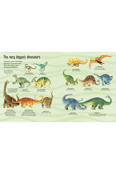 Usborne Foreign Language Children's Books