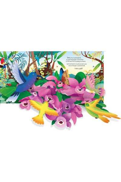 Usborne Carte Pop-up Birds