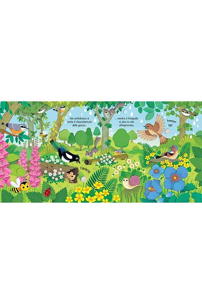 Usborne Bird Sounds – Book With Bird Sounds