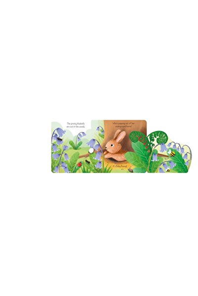 Usborne Little Lift and Look Baby Bunny