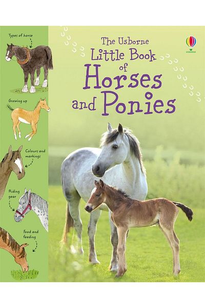 Usborne Children's book - Little Book of Horses and Ponies