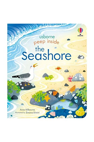 Usborne Carte pentru copii - Peep Inside the Seashore