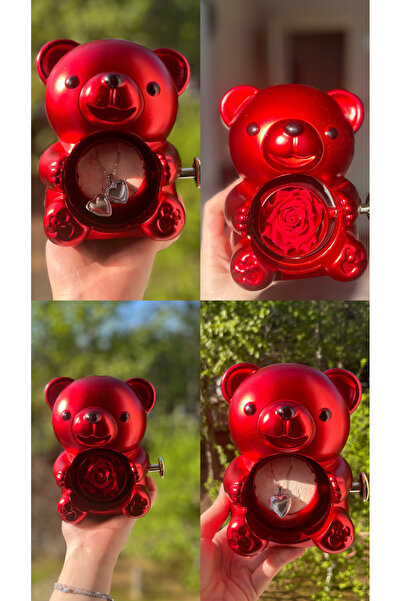 Tasarım Mekanizmalı Ayı Takı Kutusu Yüzük Kutusu Çelik Fotoğraflı Kolye İçi A...