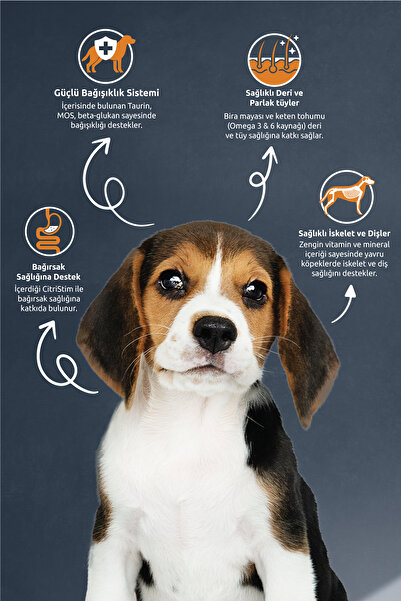 Reflex Dana Etli Yavru Köpek Maması 15kg