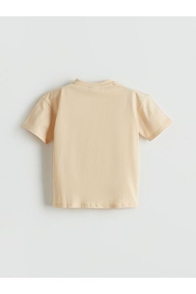 LC Waikiki Crew Neck Boy's T-Shirt
