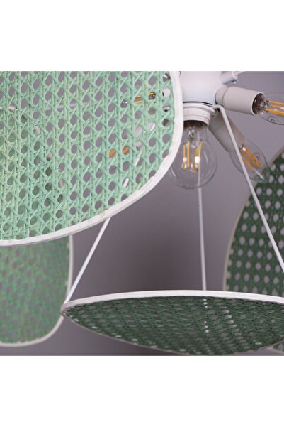 Mylamp Yeşil Bulut Doğal Hazeran 55 x 35 cm 4+1 Yaprak Avize 30 cm