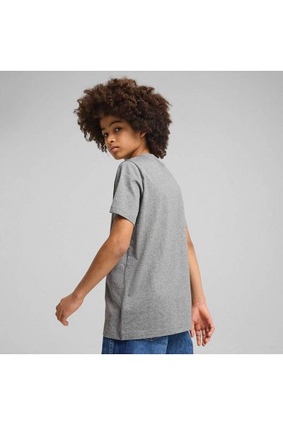 Puma Tričko Puma Ess 2 Color No.1 Logo Tee B, Grey, Kids