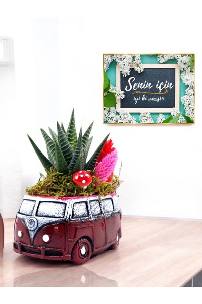 MEGA KANYON Sukulent Çiçekli Bordo Vosvos Aranjmanı ve Senin İçin Hediye Kartı