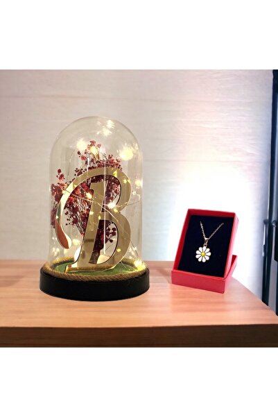 hediye arıları Kişiye Özel Harfli Fanus Aranjmanı - Büyük Boy - Işıklı - Papa...