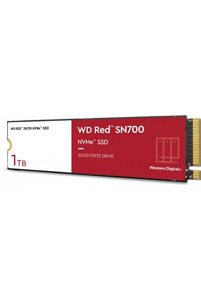 WESTERN DIGITAL SSD Western Digital Red SN700 1TB PCI Express 3.0 x4 M.2 2280