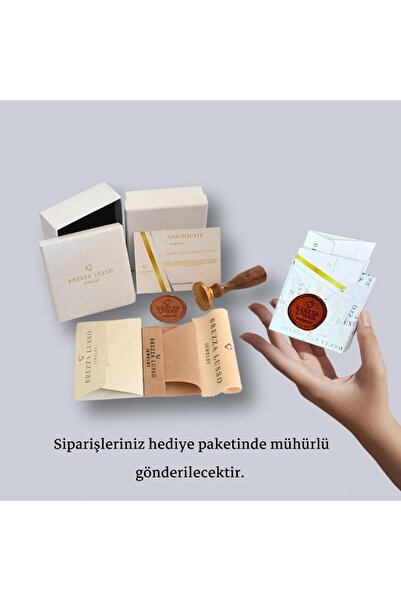 Brezza Lusso Jewelry 18k Serie Oro Kuzey Yıldızı Sallantılı Kadın Gümüş Küpe