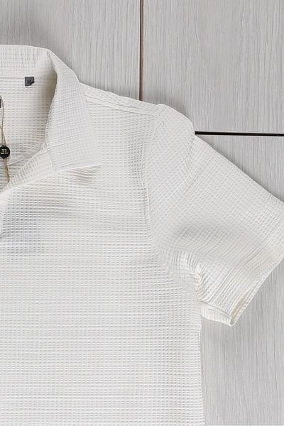 Delpino Ανδρικό βαμβακερό μπλουζάκι Polo Neck Regular Fit