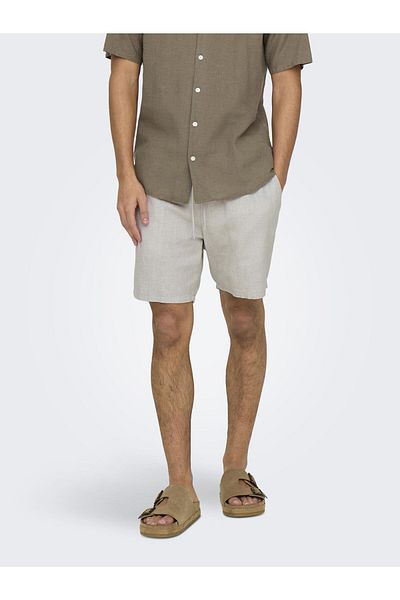 Only & Sons Shorts ONSTEL Normal geschnitten Shorts