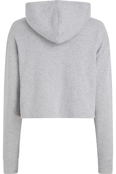 Calvin Klein Female Gray Hoodie