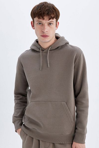 DeFacto Μαλακό πουπουλένιο φούτερ Basic Hooded - Kangaroo Pocket, Regular Fit X8283az24au