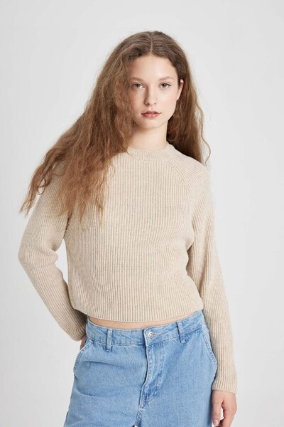 DeFacto Coool Regular Fit Crew Neck Basic Plain Knitwear Sweater L2567Az24Wn