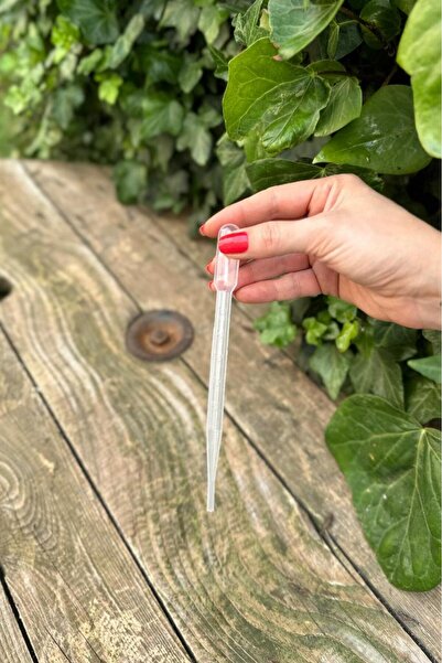 rufus concept Pastör Pipet (Damlalık) 3 ml (50 Adet)