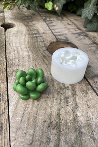 rufus concept Moonstone Kaktüs Silikon Mum Kalıbı