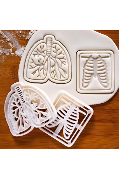 Hobist قالب كوكي للأضلاع والأعضاء بالأشعة السينية وقالب لب السكر