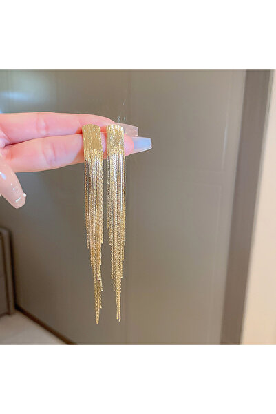 Choice HE12417-1 Chain Tassel Long Earrings for Women Light Luxury Premium Da...